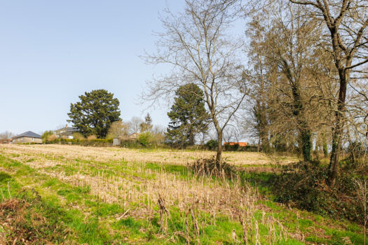 Se vende finca urbanizable en Mesón do Vento