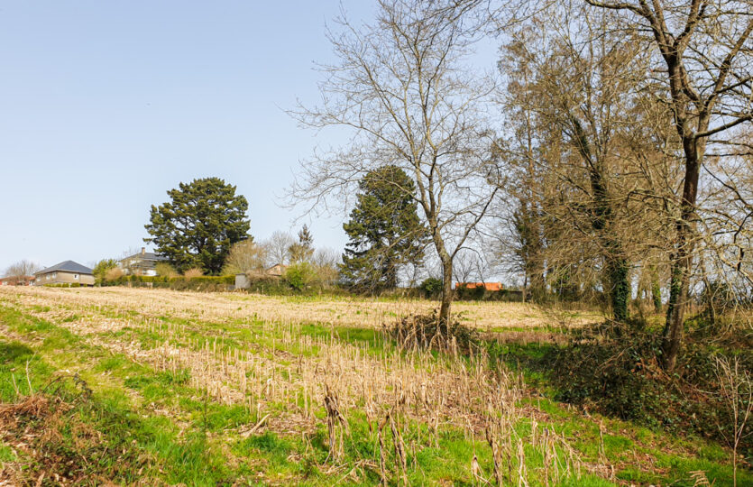 Finca urbana en Mesón de Vento