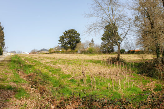 Finca urbana en Mesón de Vento