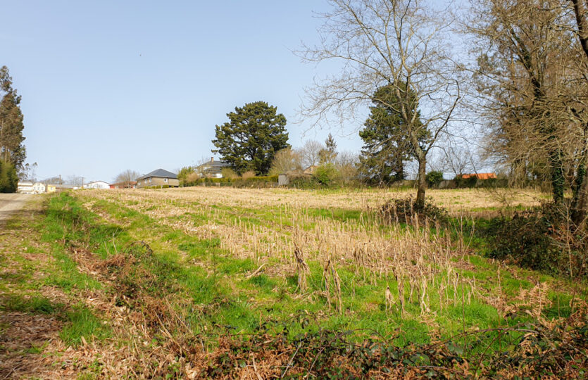 Finca urbana en Mesón de Vento