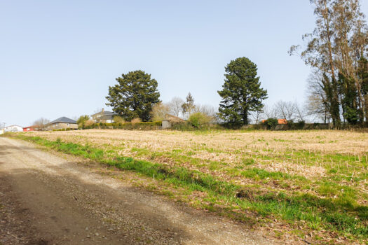 Se vende finca urbanizable en Mesón do Vento
