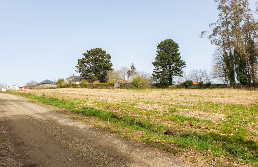 Finca urbana en Mesón de Vento