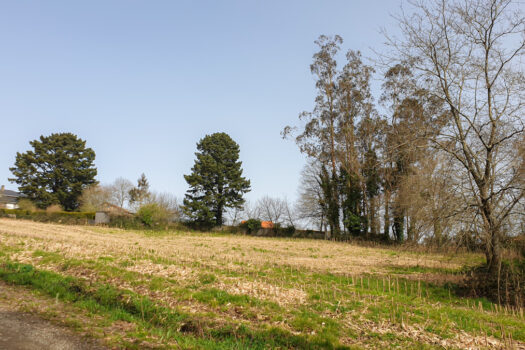 Se vende finca urbanizable en Mesón do Vento