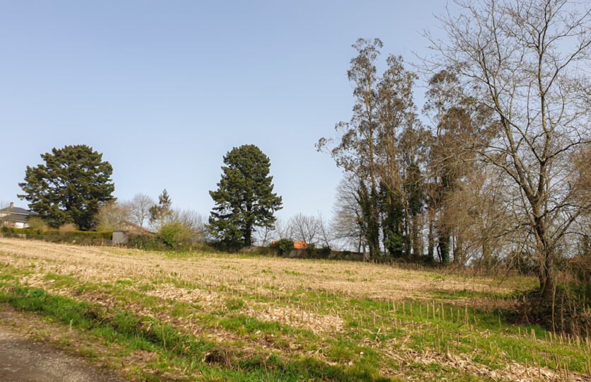 Finca urbana en Mesón de Vento
