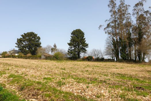 Se vende finca urbanizable en Mesón do Vento