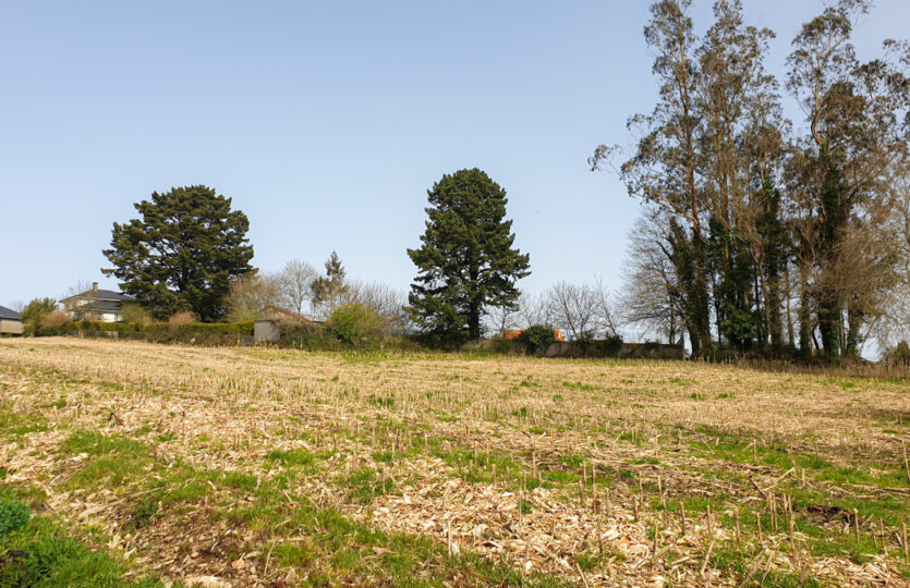 Finca urbana en Mesón de Vento