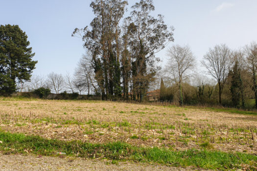 Se vende finca urbanizable en Mesón do Vento