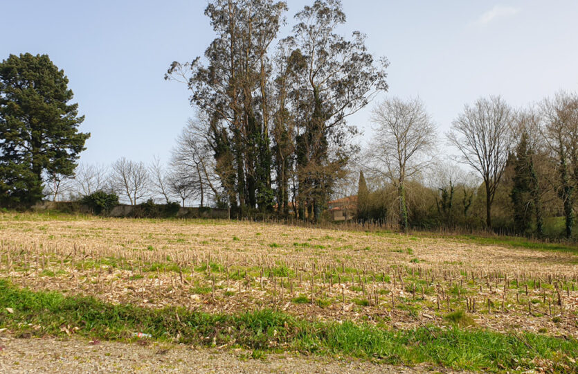 Finca urbana en Mesón de Vento
