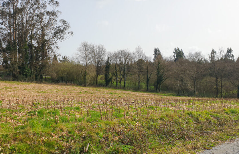 Finca urbana en Mesón de Vento