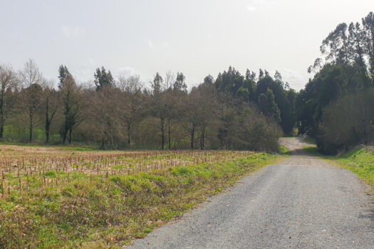 Se vende finca urbanizable en Mesón do Vento