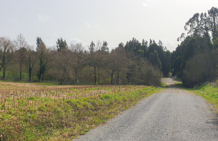 Finca urbana en Mesón de Vento
