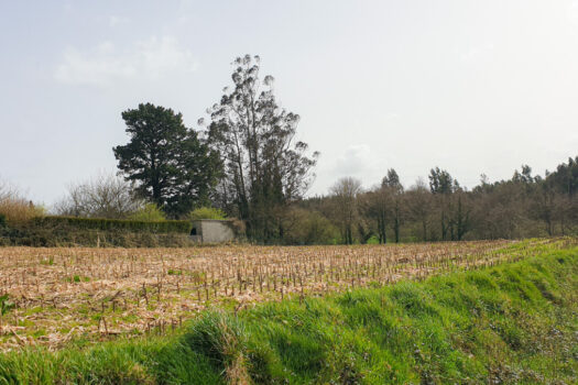 Se vende finca urbanizable en Mesón do Vento