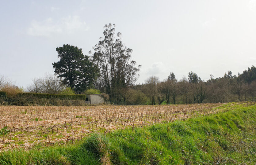 Finca urbana en Mesón de Vento