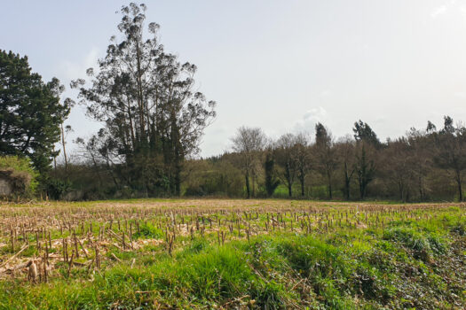 Se vende finca urbanizable en Mesón do Vento