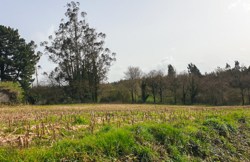 Finca urbana en Mesón de Vento