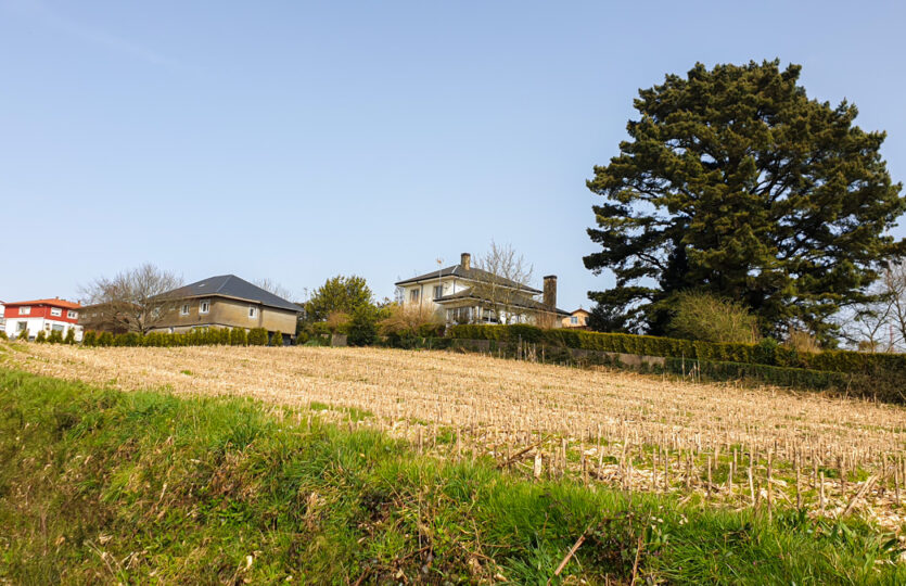 Finca urbana en Mesón de Vento