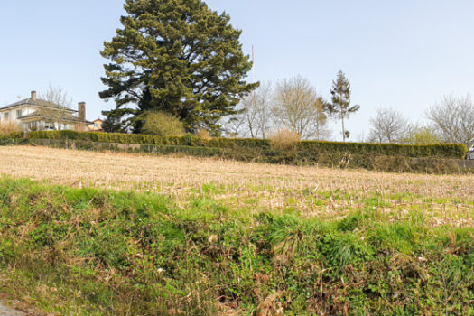 Se vende finca urbanizable en Mesón do Vento