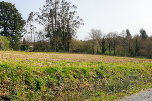 Se vende finca urbanizable en Mesón do Vento