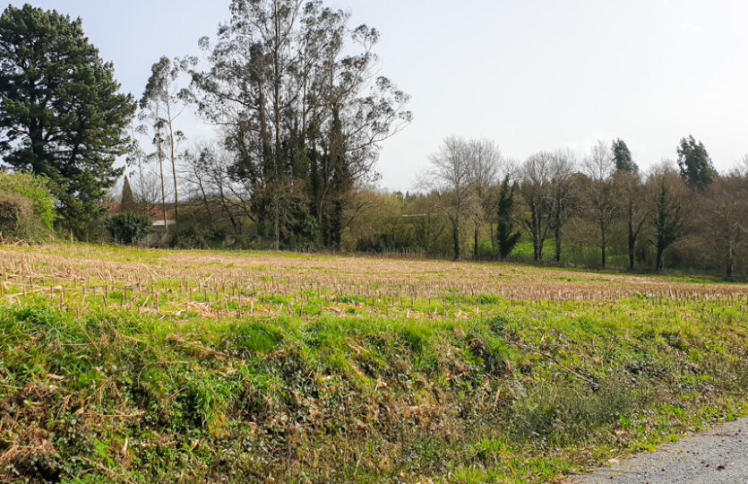 Finca urbana en Mesón de Vento