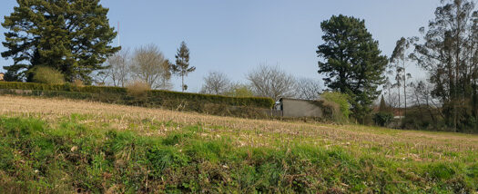 Se vende finca urbanizable en Mesón do Vento