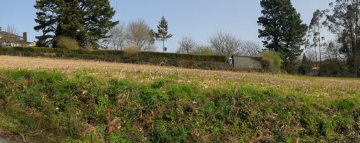 Se vende finca urbanizable en Mesón do Vento