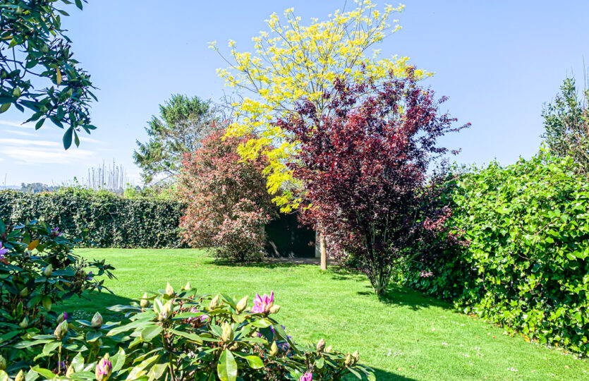 Se vende en la Pezoca, Oleiros