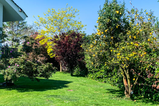 Se vende espectacular chalet de diseño en la Pezoca