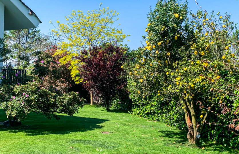 Se vende en la Pezoca, Oleiros