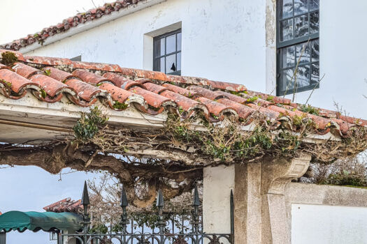 Se vende en Lorbé gran parcela con varias construcciones y vistas al mar