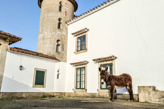 Se vende en Lorbé gran parcela con varias construcciones y vistas al mar
