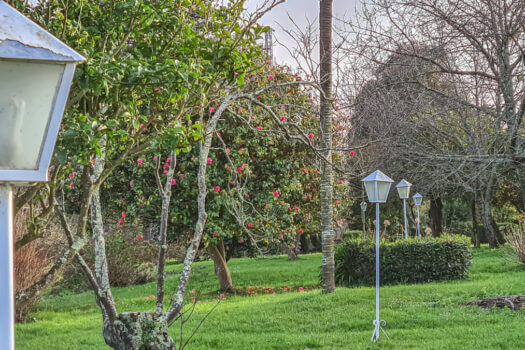 Se vende en Lorbé gran parcela con varias construcciones y vistas al mar