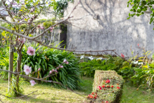 Se vende en Lorbé casa singular para rehabilitar