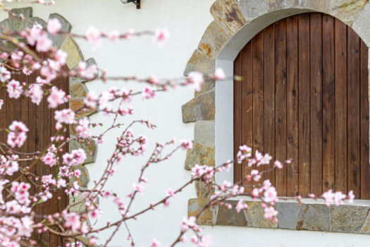 Se vende en Lorbé casa singular para rehabilitar