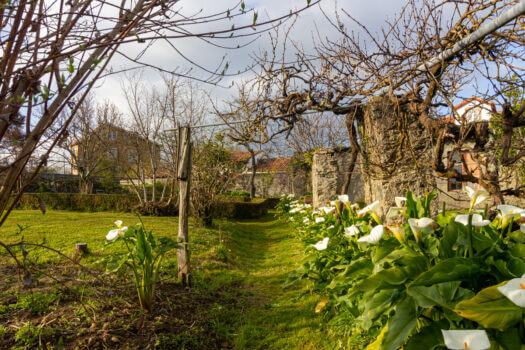 Se vende en Lorbé casa singular para rehabilitar