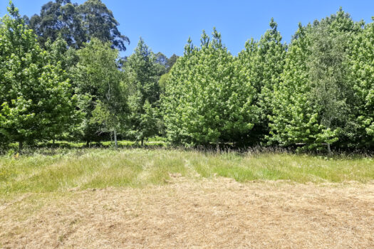 Se vende finca urbana en urbanización Costa Miño