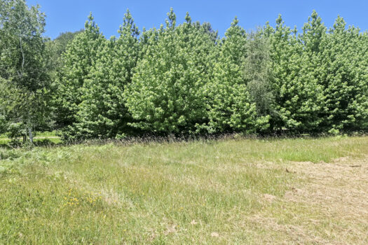 Se vende finca urbana en urbanización Costa Miño
