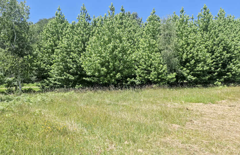 Se vende parcela urbana en Miño